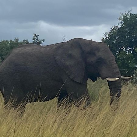 Вилла El Seuno De Africa -The Dream Of Africa Сент-Люсия Экстерьер фото
