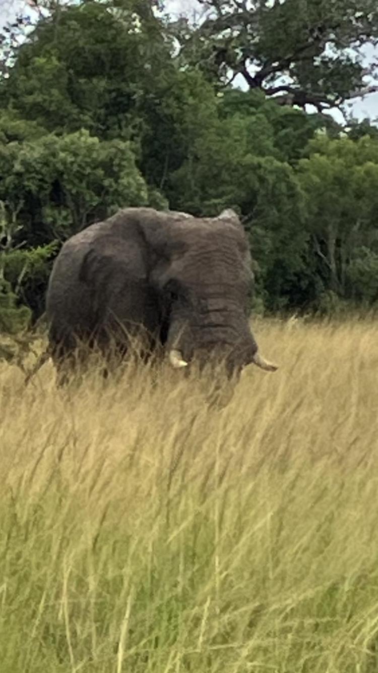 Вилла El Seuno De Africa -The Dream Of Africa Сент-Люсия Экстерьер фото