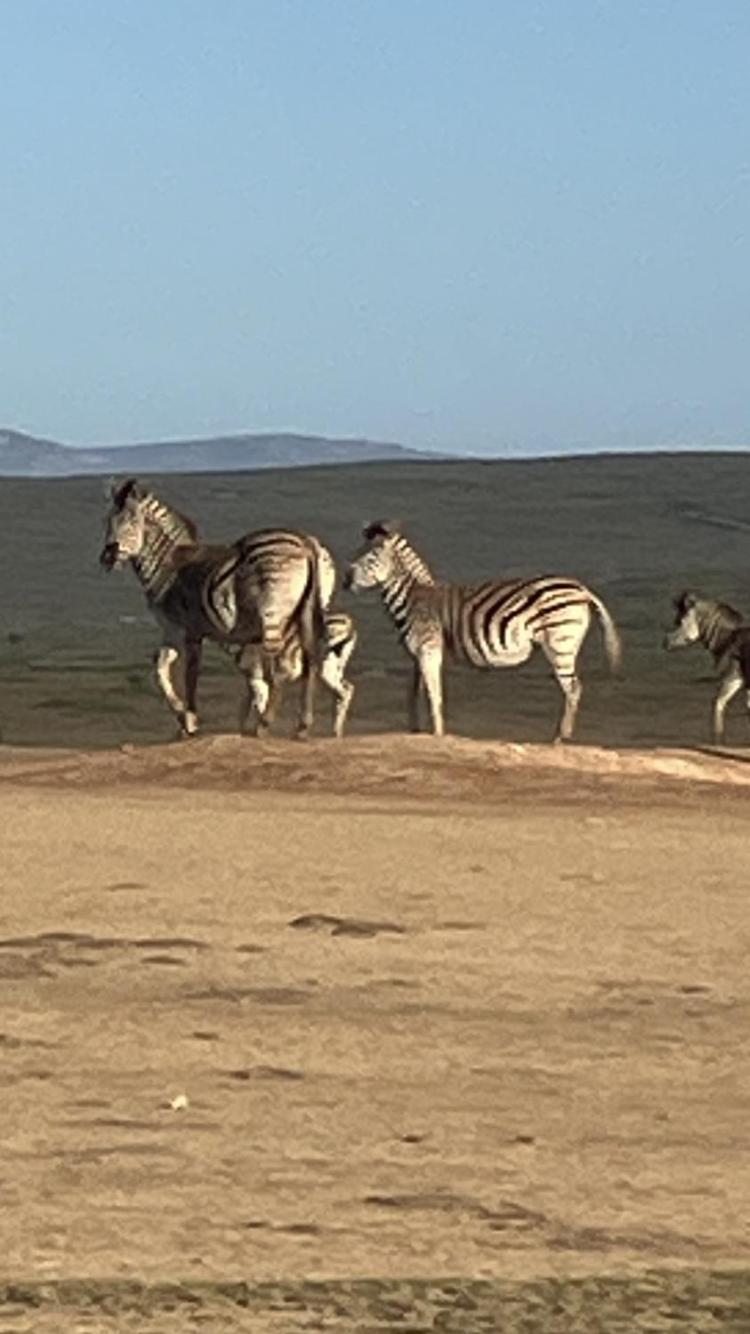 Вилла El Seuno De Africa -The Dream Of Africa Сент-Люсия Экстерьер фото